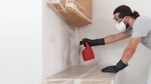 Professional Crawl Space Mold Remediation technician working in Schaumburg, IL